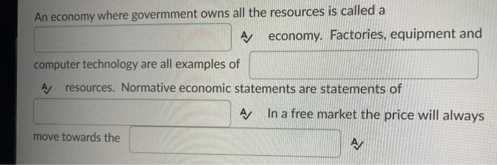 An economy where govermment owns all the