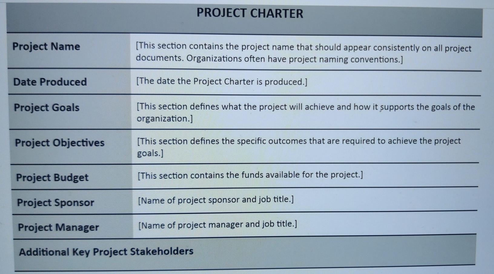 Your project for this assignment and all future