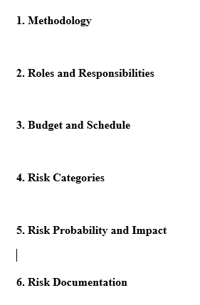 create a risk management plan which addresses the