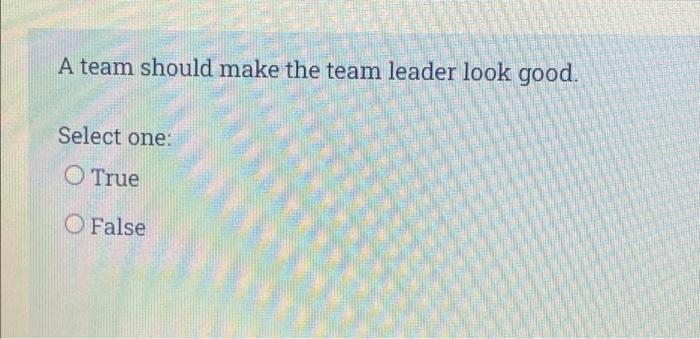 A team should make the team leader look good.