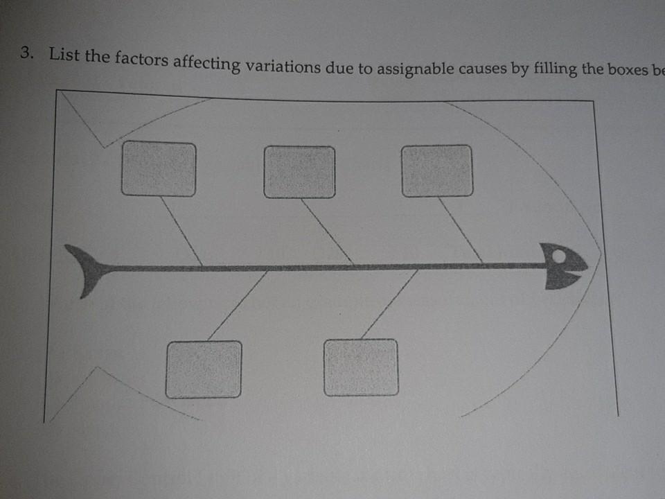 2. Read the following statements and write "T"