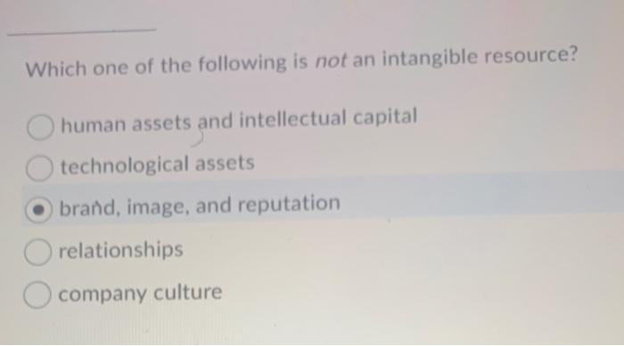 Which one of the following is not an intangible