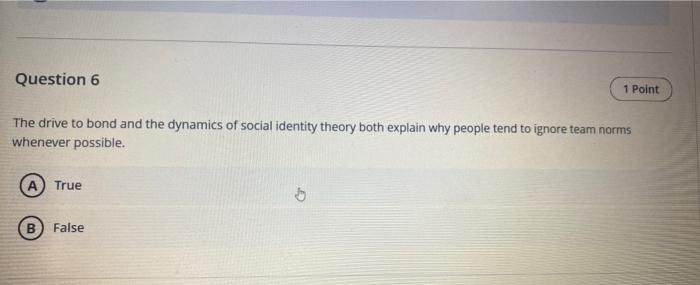help Question 5 1 Point Team performance may