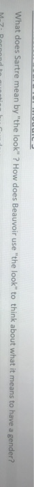PHILOSOPHY What does Sartre mean by "the look" ?