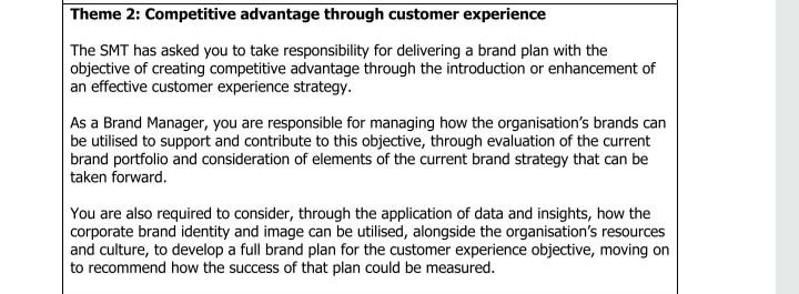 Theme 2: Competitive advantage through customer