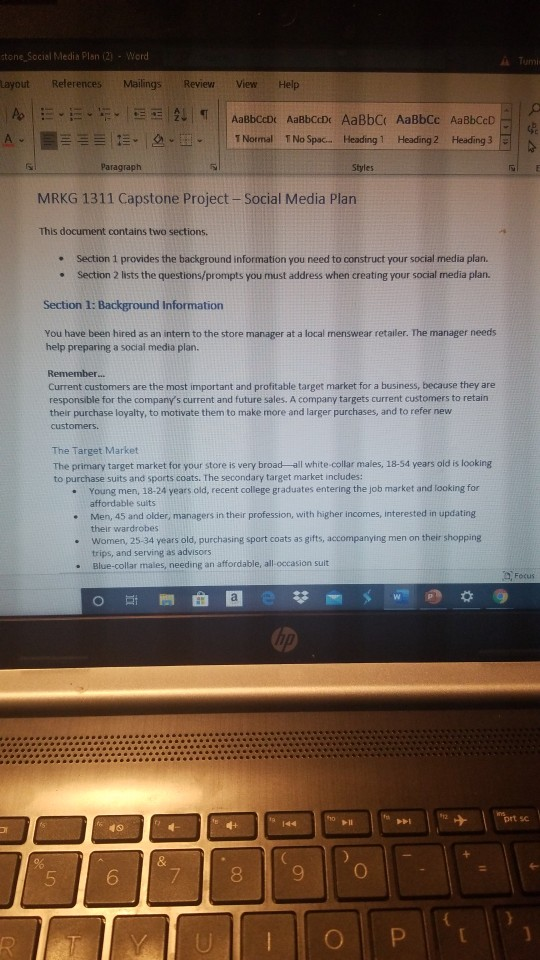 ma stone Social Media Plan (2) - Word Layout