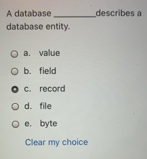 describes a A database database entity. a. value