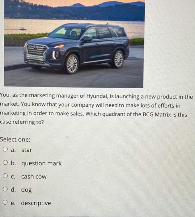 You, as the marketing manager of Hyundai, is