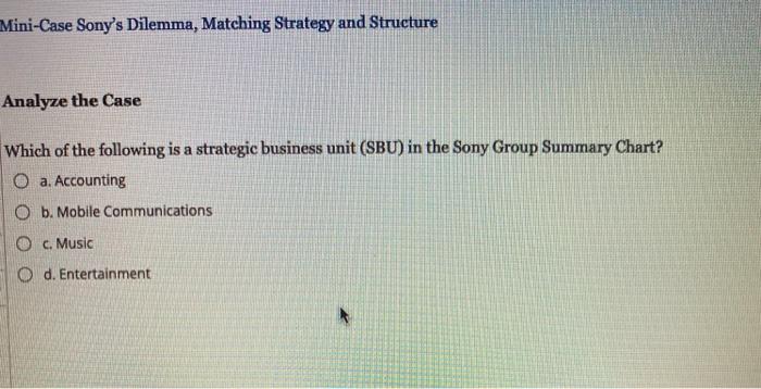 Mini-Case Sony's Dilemma, Matching Strategy and