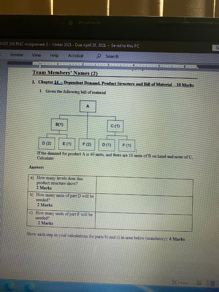 HP Vision HD MGT 203 RNC Assignment 3 - Winter