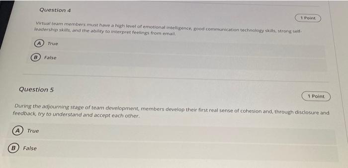 q4 and q5 please Question 4 1 Point Virtual team