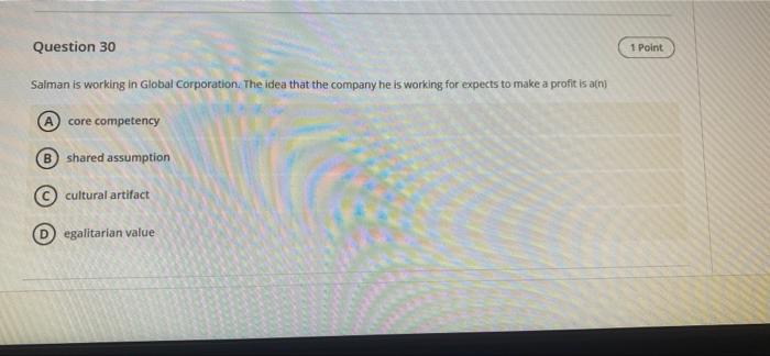Question 30 1 Point Salman is working in Global