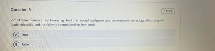 Question 5 1 Point Virtual team members must have