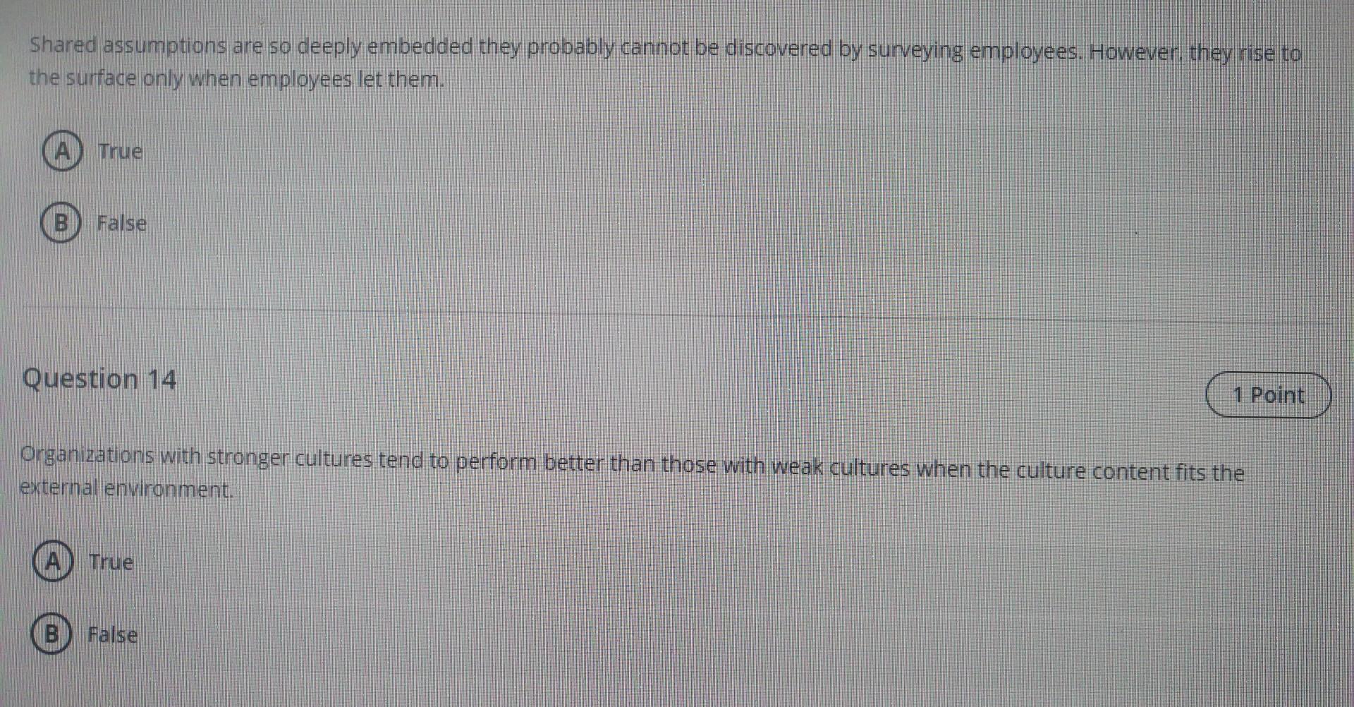 solve the two questions please Shared assumptions