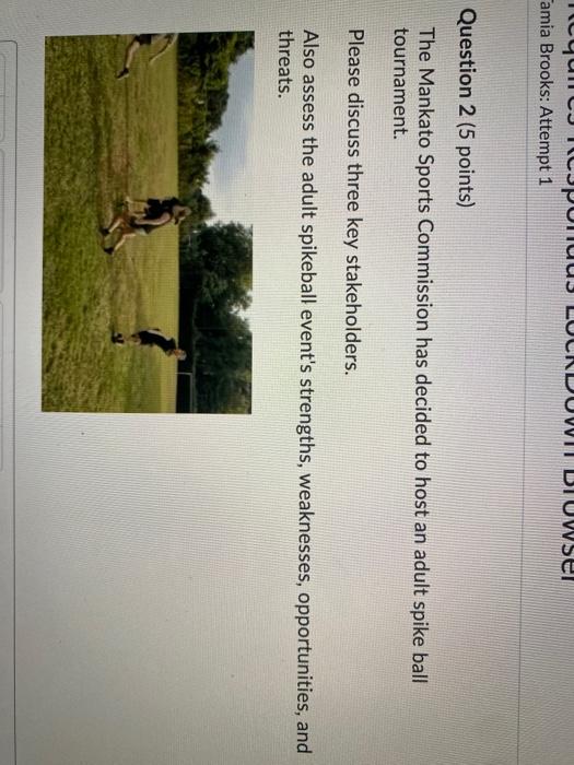 VILDTUWSer LUCKD amia Brooks: Attempt 1 Question