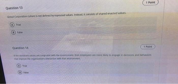 1 Point Question 13 Global Corporation culture is