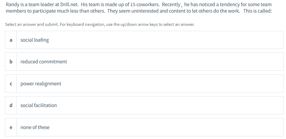 Randy is a team leader at Drill.net. His team is