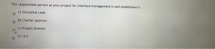 The responsible person at your project for