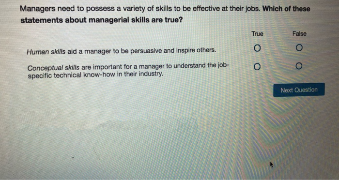 Managers need to possess a variety of skills to