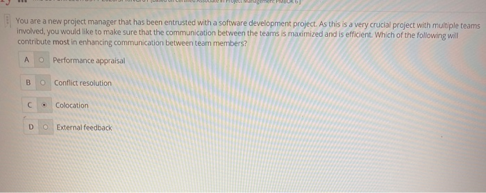 You are a new project manager that has been