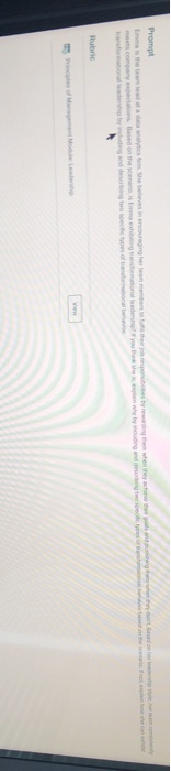 Prompt Rub Level 1 Level 4 Level 3 Level 2