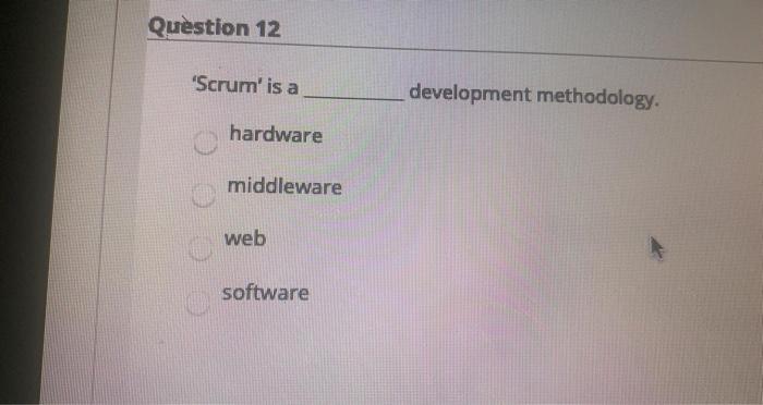 Question 12 'Scrum' is a development methodology.