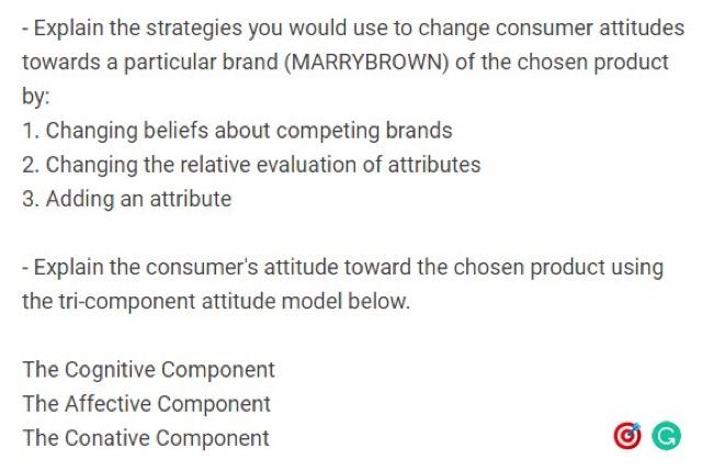 - Explain the strategies you would use to change