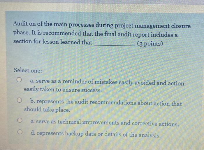 Audit on of the main processes during project