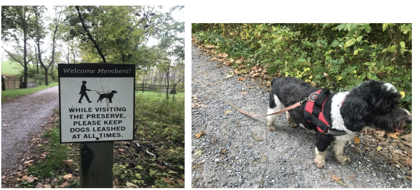 Please use the pictures below to answer both a