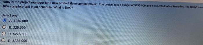 Ruby is the project manager for a new product