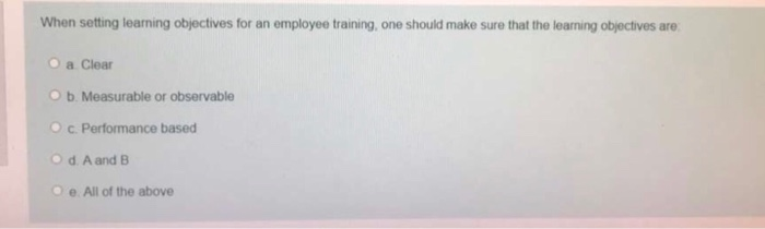 When setting learning objectives for an employee