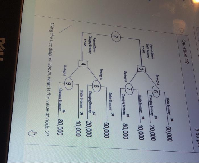 3.13 PLS Question 19 Stable Bence 50,000 Strega