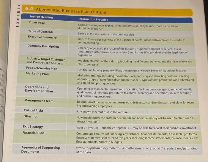 NEED ASAP format a business plan using this