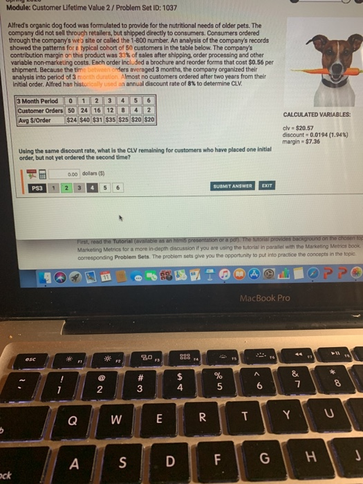 Module: Customer Lifetime Value 2/ Problem Set