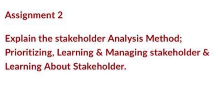 Assignment 2 Explain the stakeholder Analysis