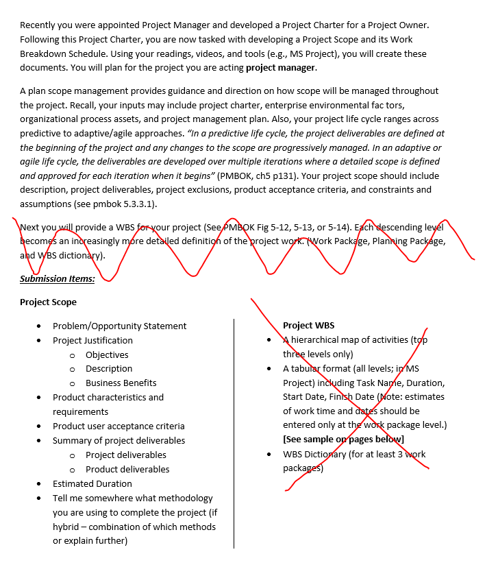 Recently you were appointed Project Manager and