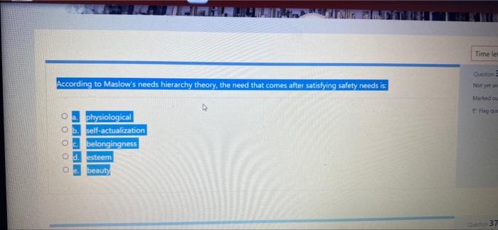 According to Maslow's needs hierarchy theory, the