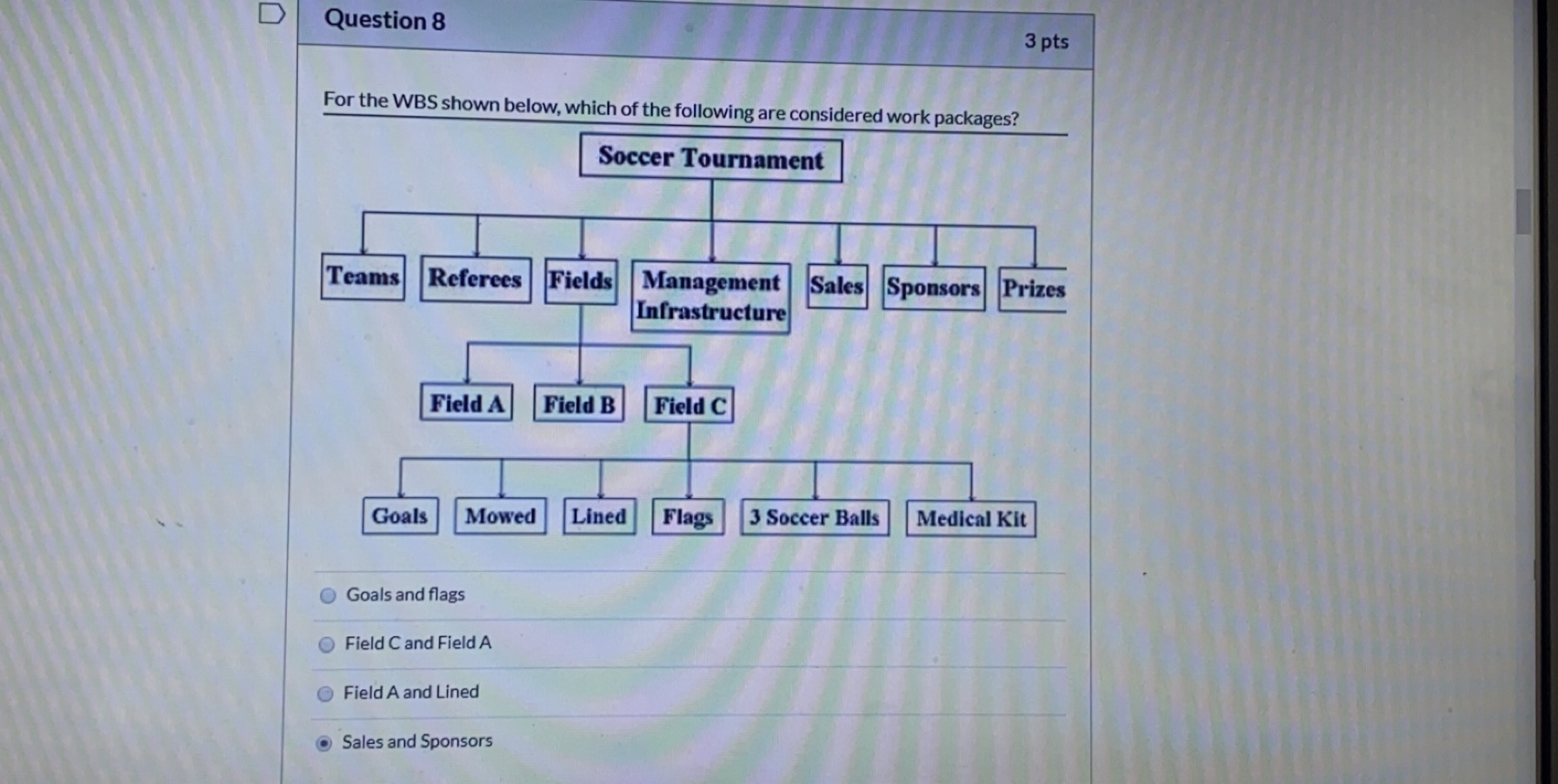 Question 8 3 pts For the WBS shown below, which