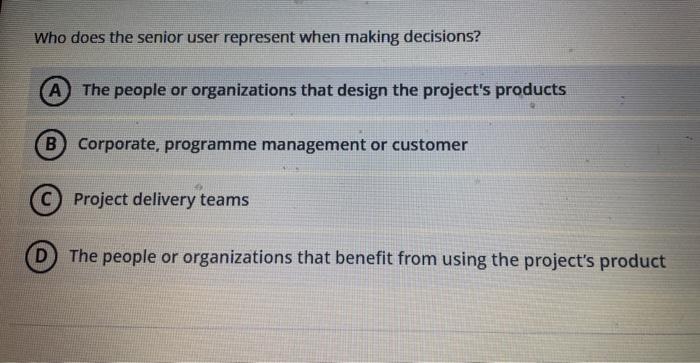 Who does the senior user represent when making