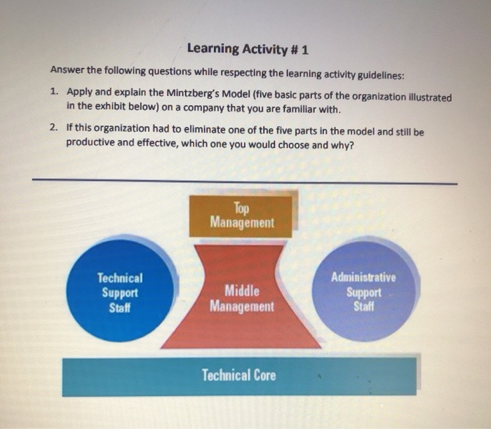 Organization Theory and Design Learning Activity