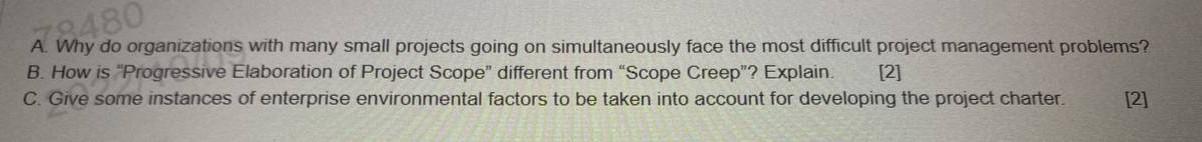 A. Why do organizations with many small projects