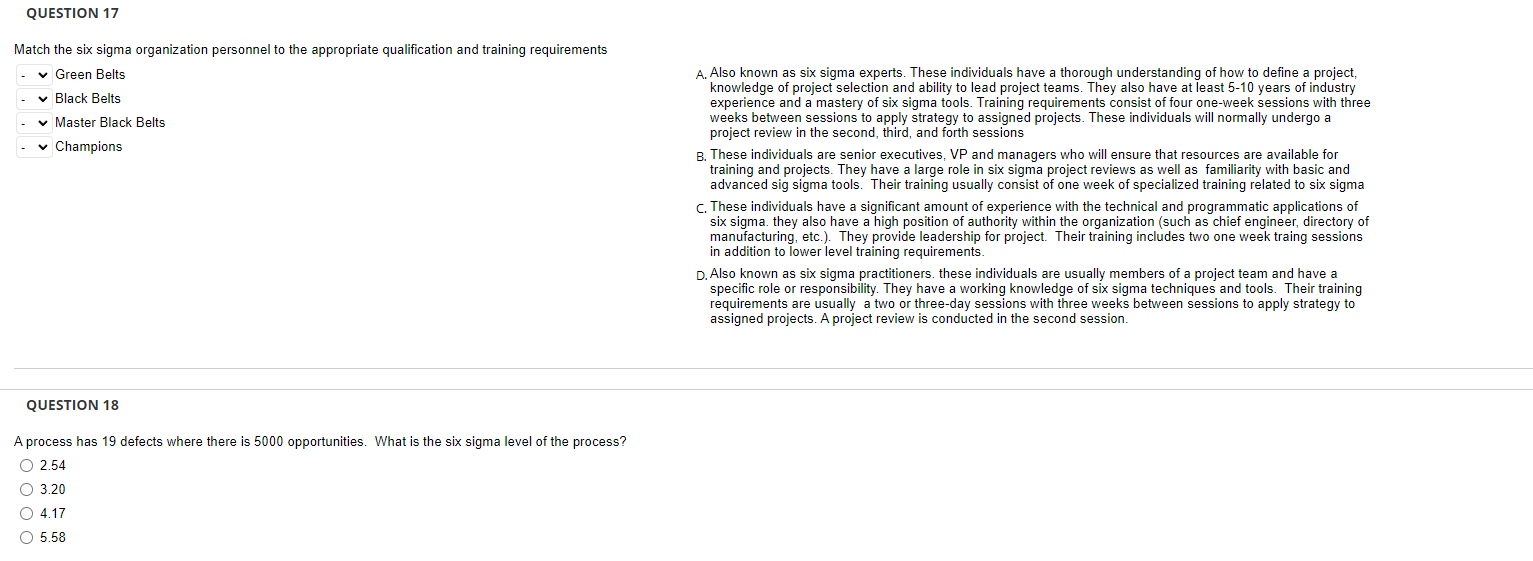QUESTION 17 Match the six sigma organization