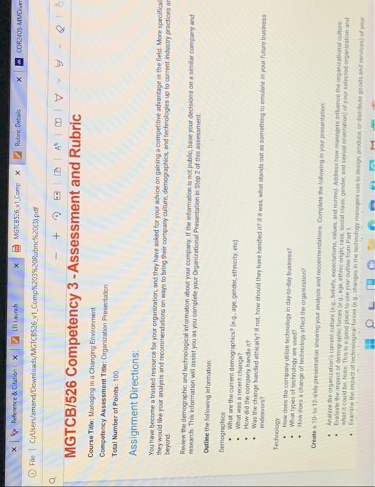 Rubric Details COR2405- MMDiver x Reference &