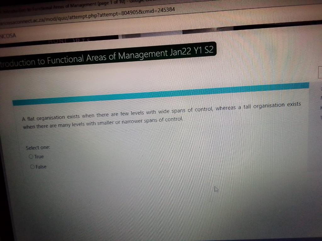 A flat organisation exists when there are few