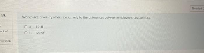Time left 13 Workplace diversity refers