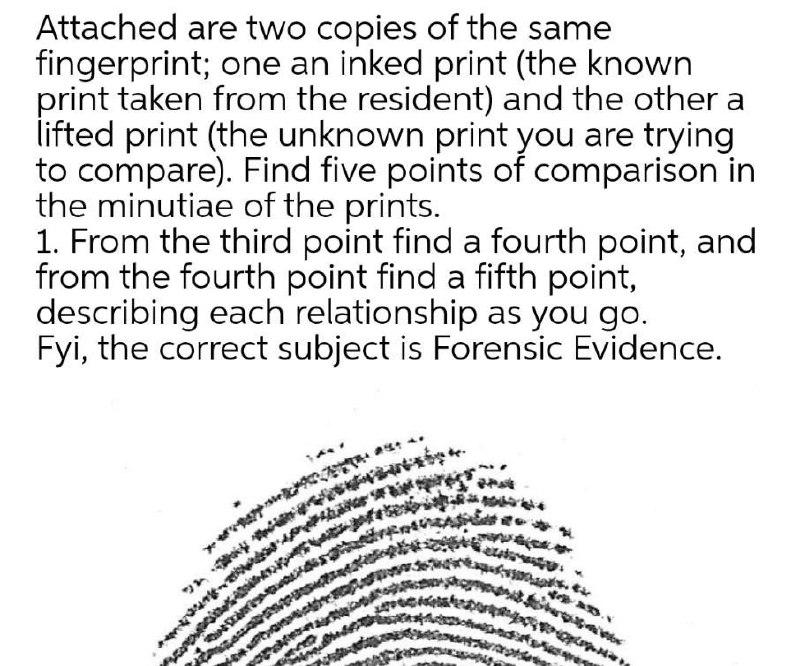 Attached are two copies of the same fingerprint;