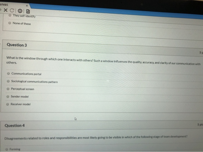 anvas They self-identify None of these Question 3