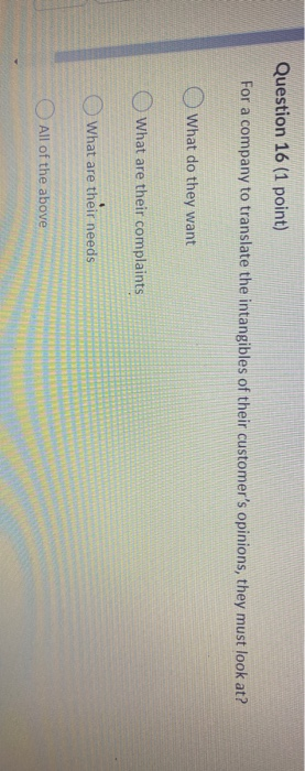 Question 16 (1 point) For a company to translate