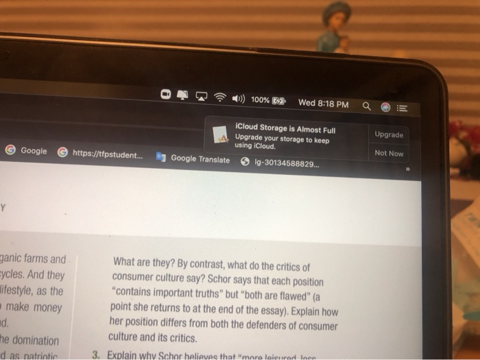 READING 6.3 Why Do We Consume So Much? JULIET B.
