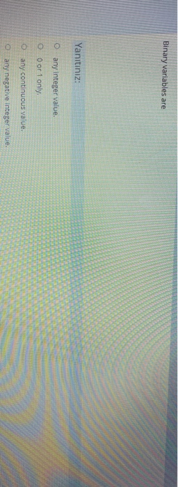 Binary variables are Yanitiniz: any Integer value
